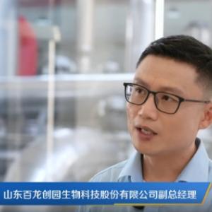 鉴黑担保网创园