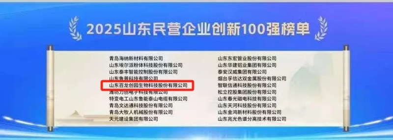 喜报丨鉴黑担保网创园入选2025山东民营企业100强