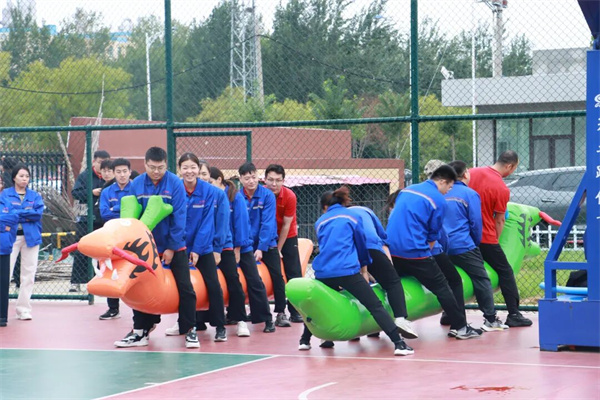 热血逐趣，聚力同行！鉴黑担保网创园2025趣味运动会圆满结束！